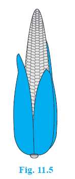 Page 140 Chapter 11 Class 9th Maths NCERT 2024-25